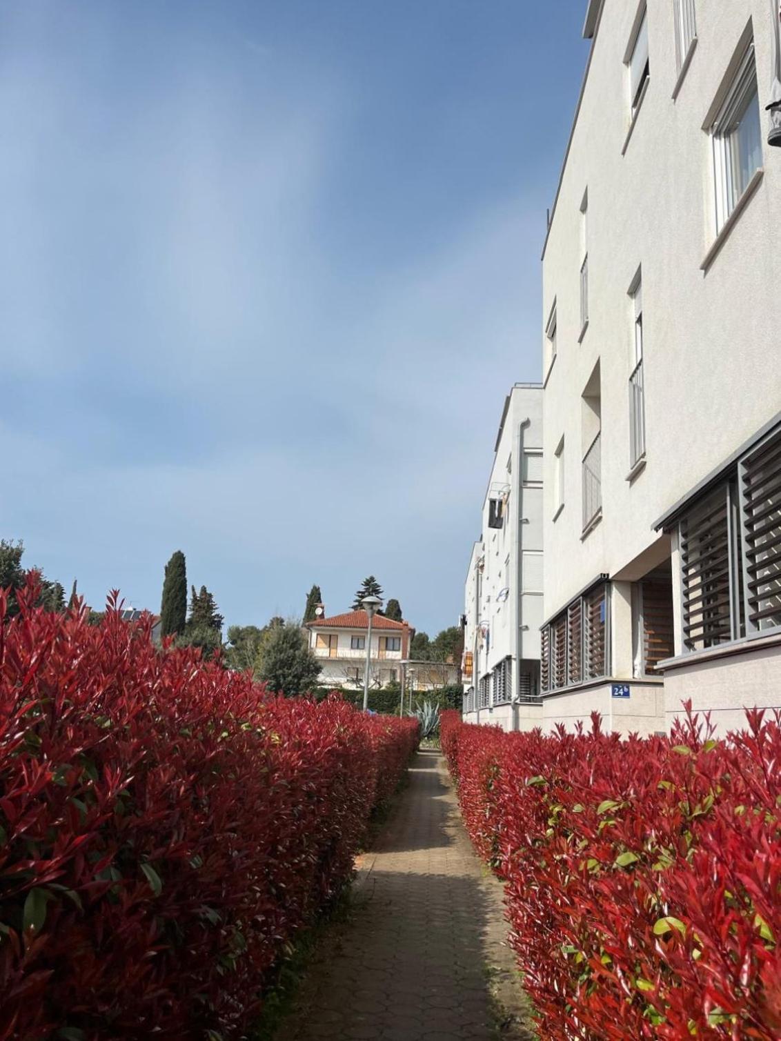 Apartment Violetta-Punta Umag Exterior photo